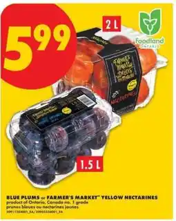 No Frills Blue Plums or Farmer's Market Yellow Nectarines offer