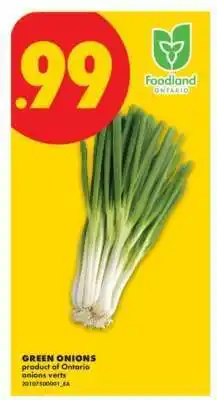 No Frills Green Onions offer