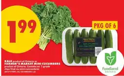 No Frills KALE or FARMER'S MARKET MINI CUCUMBERS offer