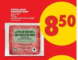 No Frills EXTRA LEAN GROUND BEEF offer