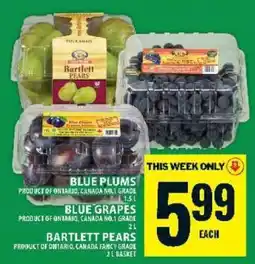 Food Basics Blue Plums, Blue Grapes, Bartlett Pears offer