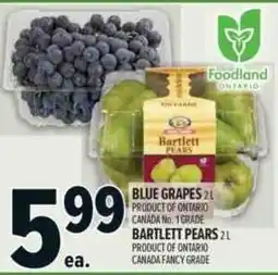 Metro Blue grapes bartlett pears offer