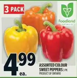 Metro Foodland assorted colour sweet peppers offer