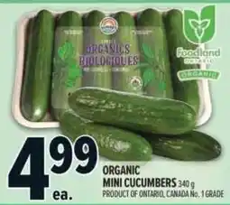 Metro Organic mini cucumbers offer