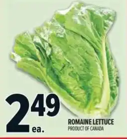 Metro Romaine Lettuce offer