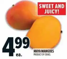 Metro Maya mangoes offer