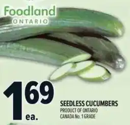 Metro Seedless cucumbers offer