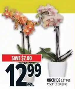 Metro Orchids offer