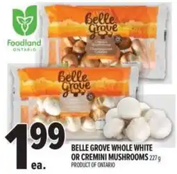 Metro Belle Grove whole white or cremini mushrooms offer