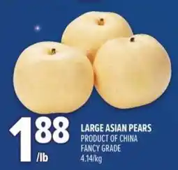 Metro Large asian pears offer