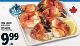 Metro Wild caught canadian rock crab offer