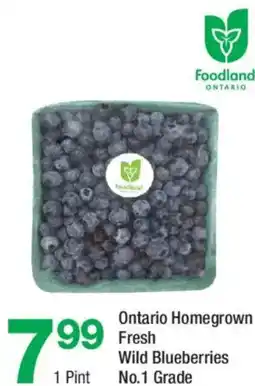 Highland Farms Foodland Fresh Wild Blueberries offer