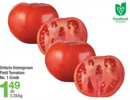 Highland Farms Ontario Homegrown Field Tomatoes offer