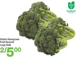 Highland Farms Fresh Broccoli offer