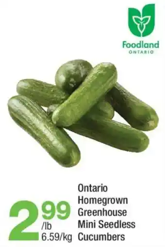Foodland Ontario Homegrown Greenhouse Mini Seedless Cucumbers
