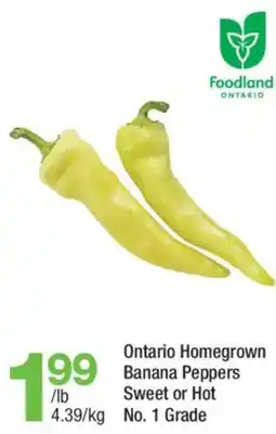 Highland Farms Ontario Homegrown Banana Peppers offer