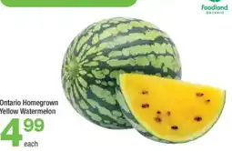 Highland Farms Yellow Watermelon offer