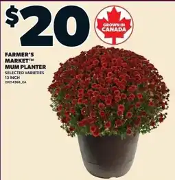 Independent Grocer Farmer's Market Mum Planter offer