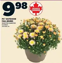 Independent Grocer PC outdoor fall mums offer