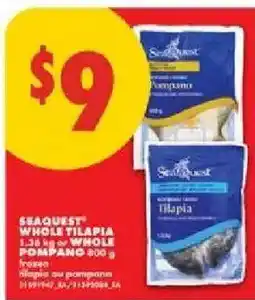 No Frills Seaquest whole tilapia offer