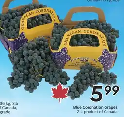 Sobeys Okanagan Blue Coronation Grapes offer