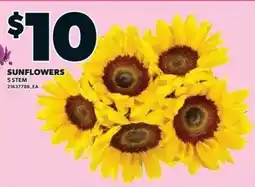 Independent Grocer Sunflowers offer