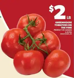 Independent Grocer Greenhouse Tomatoes On The Vine offer