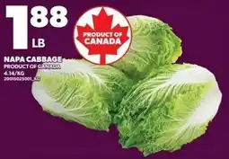 Independent Grocer Napa cabbage offer