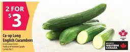 Co-op Co-op Long English Cucumbers offer