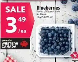 Co-op Blueberries offer