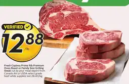 Sobeys Fresh Capless Prime Rib Premium Oven Roast or Family Size Grilling Steak offer