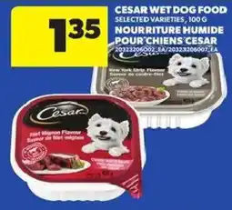 Atlantic Superstore Cesar wet dog food selected varieties offer