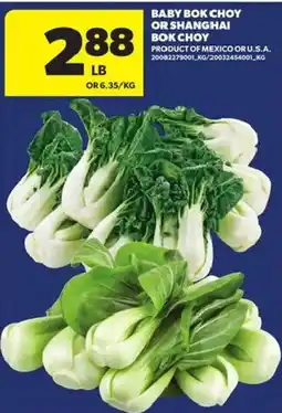 Atlantic Superstore Baby Bok Choy Or Shanghai Bok Choy offer