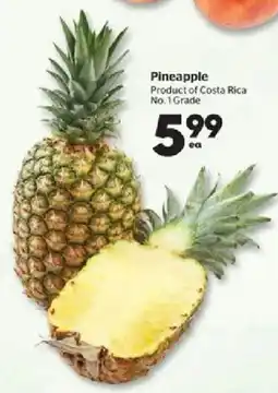 Calgary Co-op Pineapple offer