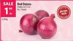 Co-op Red Onions offer