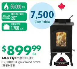 Kent J.A. ROTHY 65,000 BTU Ignis Wood Stove offer