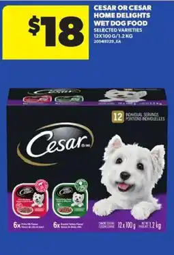 Atlantic Superstore Cesar wet dog food offer