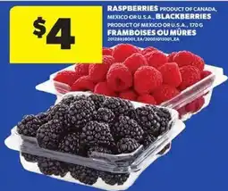 Atlantic Superstore Raspberries Blackberries offer