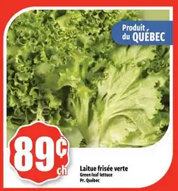 Bonanza Laitue frisée verte offer