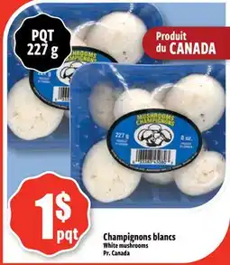 Bonanza White mushrooms offer