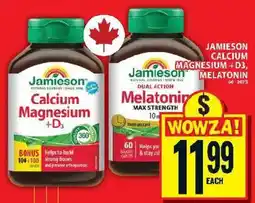 Food Basics Jamieson calcium magnesium +d3 melatonin offer
