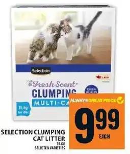 Food Basics Selection clumping cat litter offer