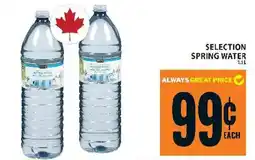 Food Basics Selection spring water offer