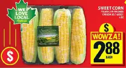 Food Basics Sweet Corn offer