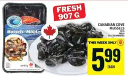 Food Basics Canadian cove mussels offer