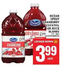Food Basics Ocean Spray cranberry cocktail or juice blends offer