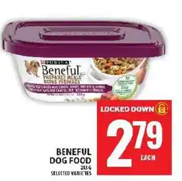 Food Basics Beneful dog food offer