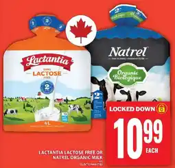 Food Basics Lactantia lactose free or Natrel organic milk offer