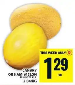 Food Basics Canary or Hami Melon offer