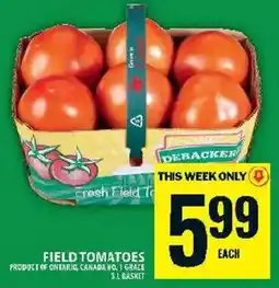 Food Basics Field Tomatoes offer